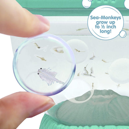 Sea-Monkeys Ocean Volcano - US 7129