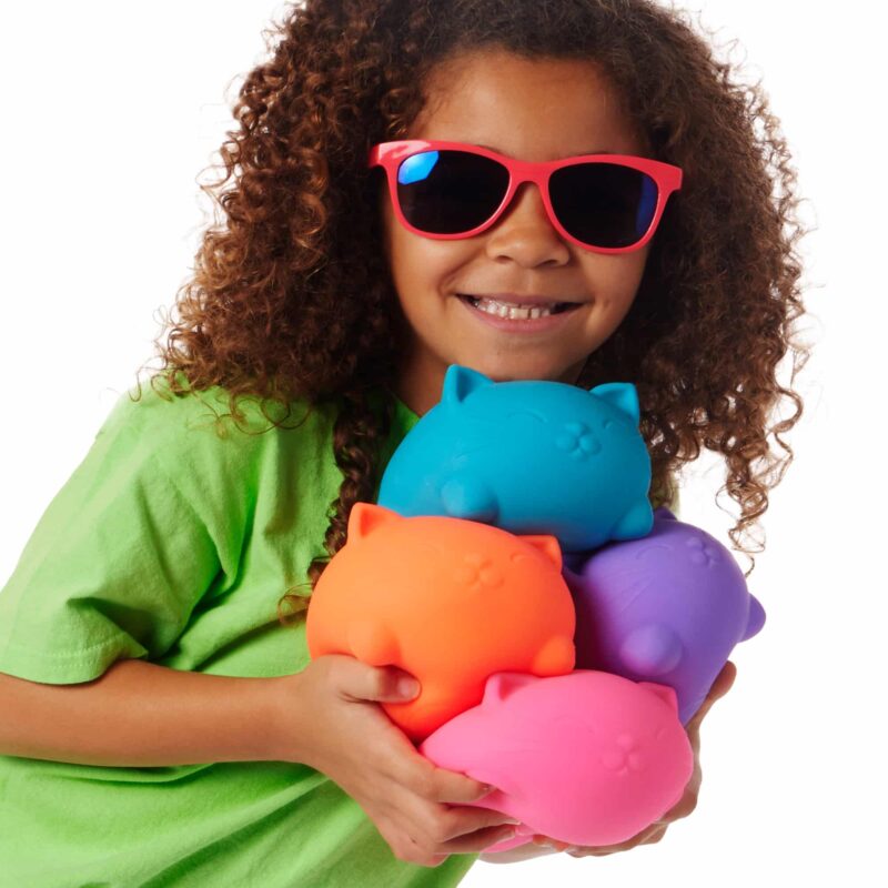 Super NeeDoh Cool Cats - US 2336